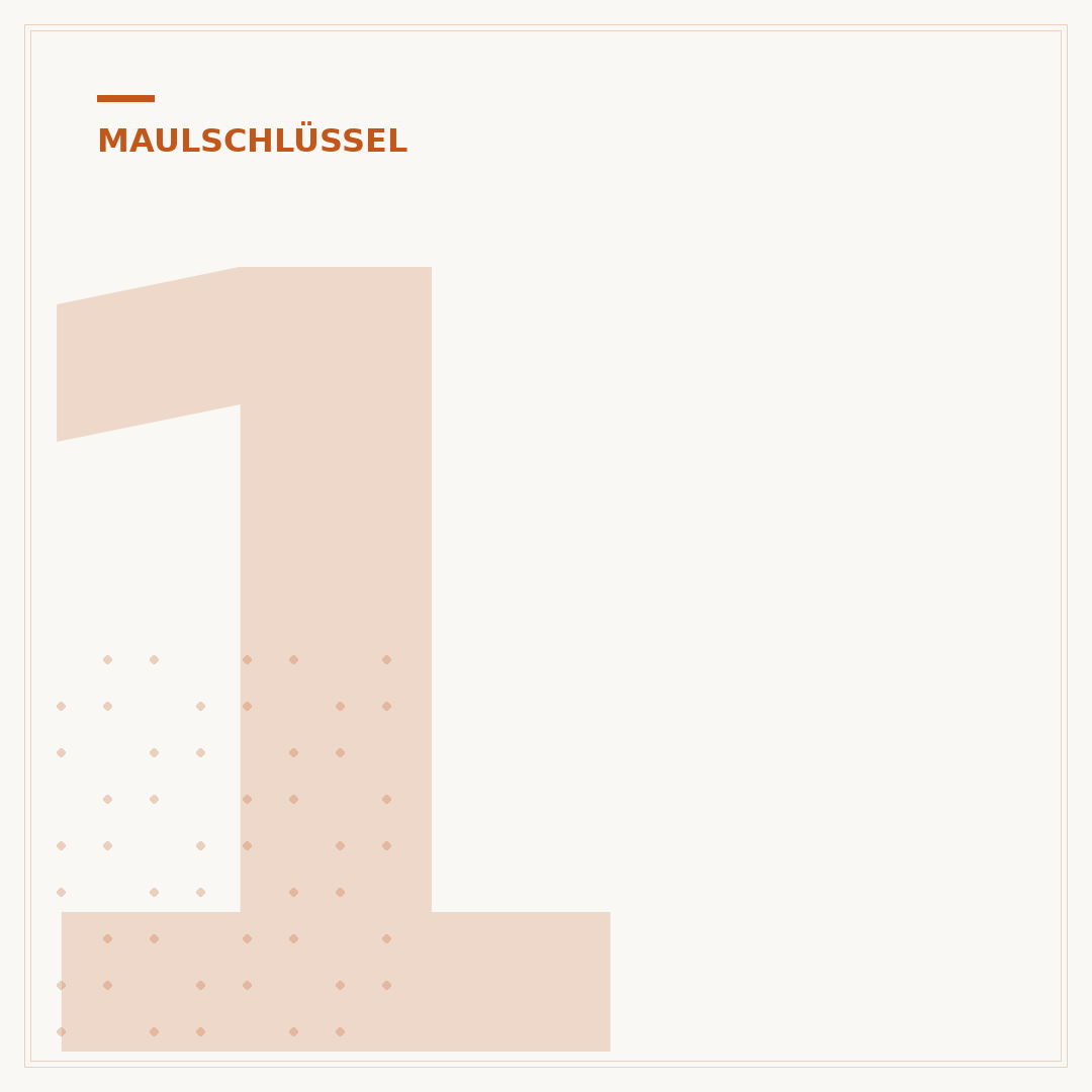 10er Maulschlüssel: Auswahl, Einsatz und Qualität prüfen