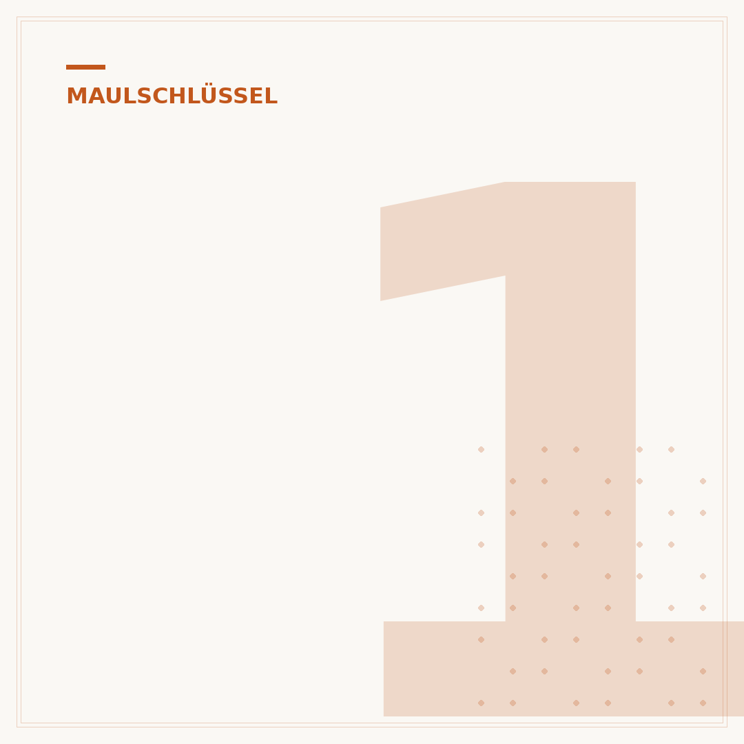 15er Maulschlüssel: Größe, Anwendung & Qualitätsmerkmale