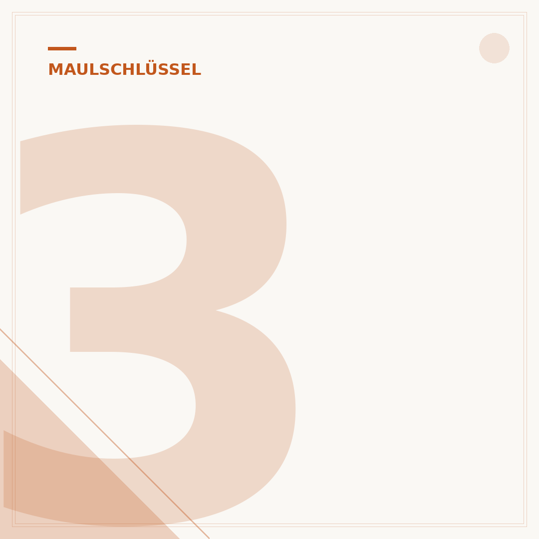 30er Maulschlüssel: Auswahl, Anwendung und Qualitätsmerkmale