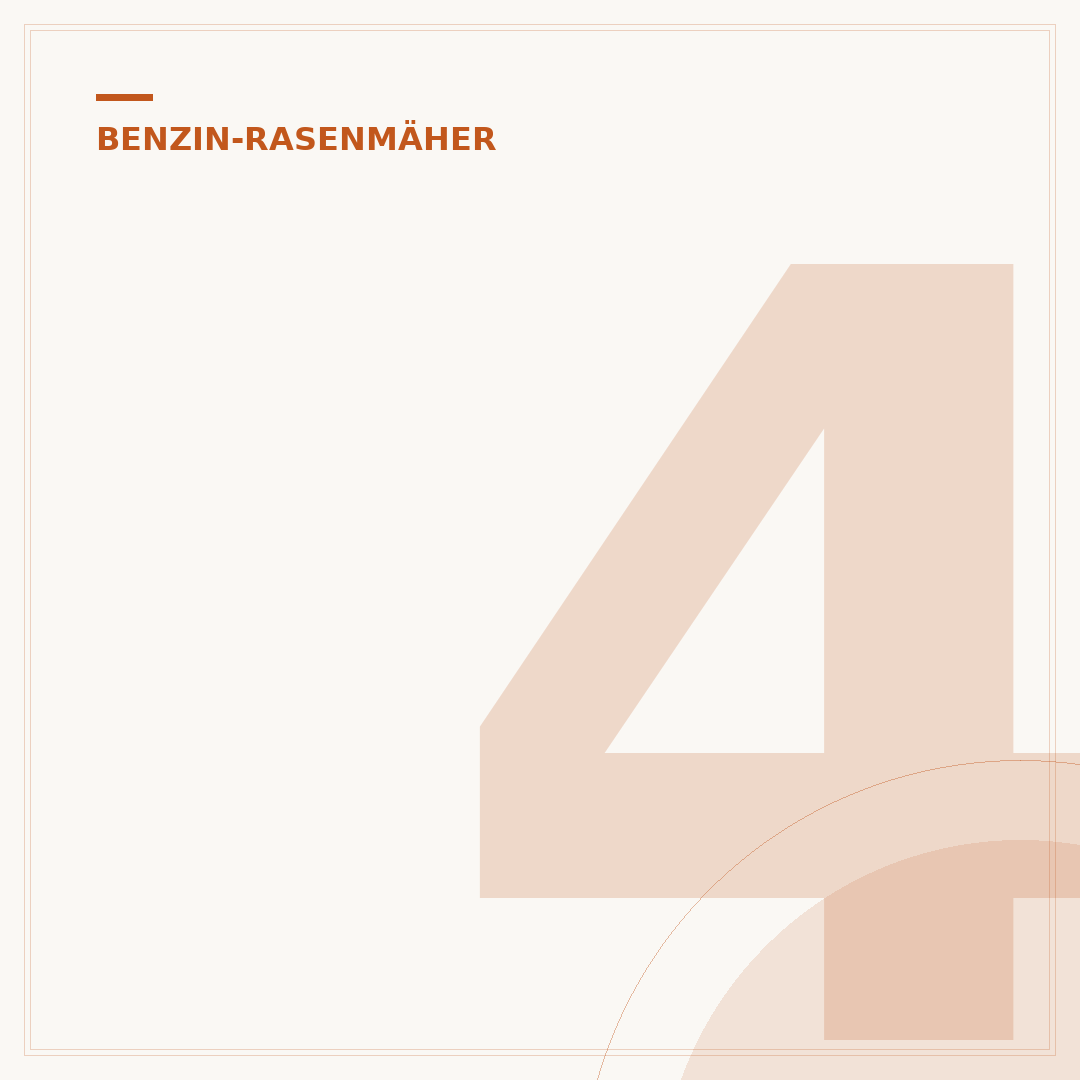 4-Takt-Benzin-Rasenmäher