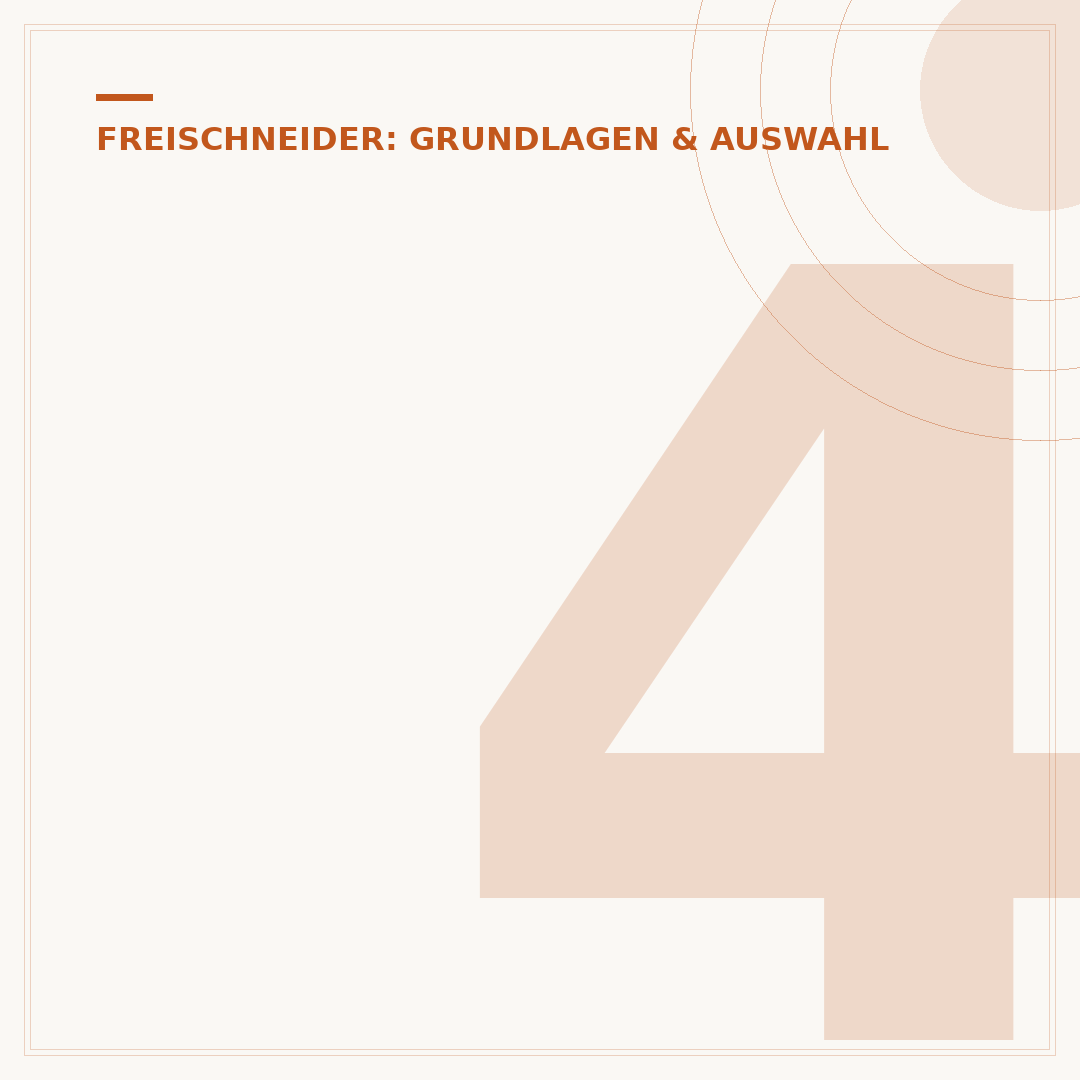 4-Takt-Freischneider