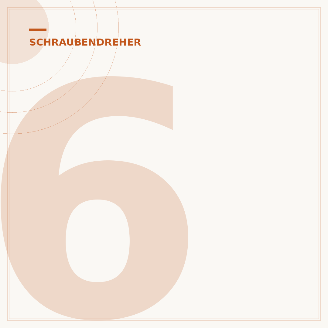 6-Kant-Schraubendreher