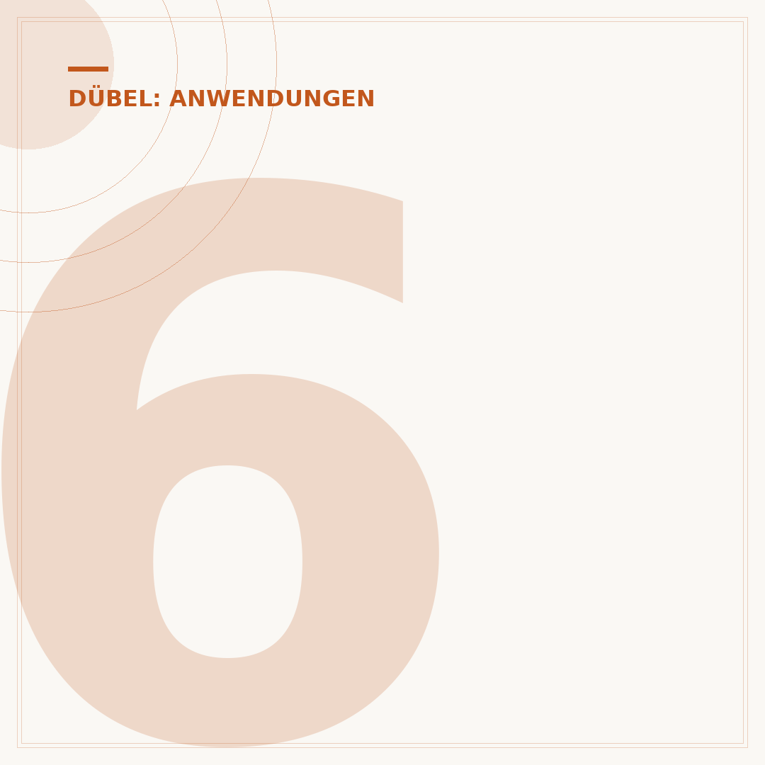 6er Dübel: Welche Schraube passt? Exakte Maße