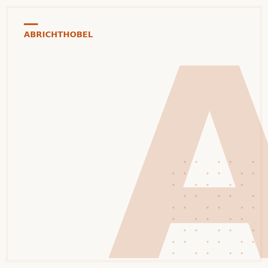 Anschlag des Abrichthobels ausrichten