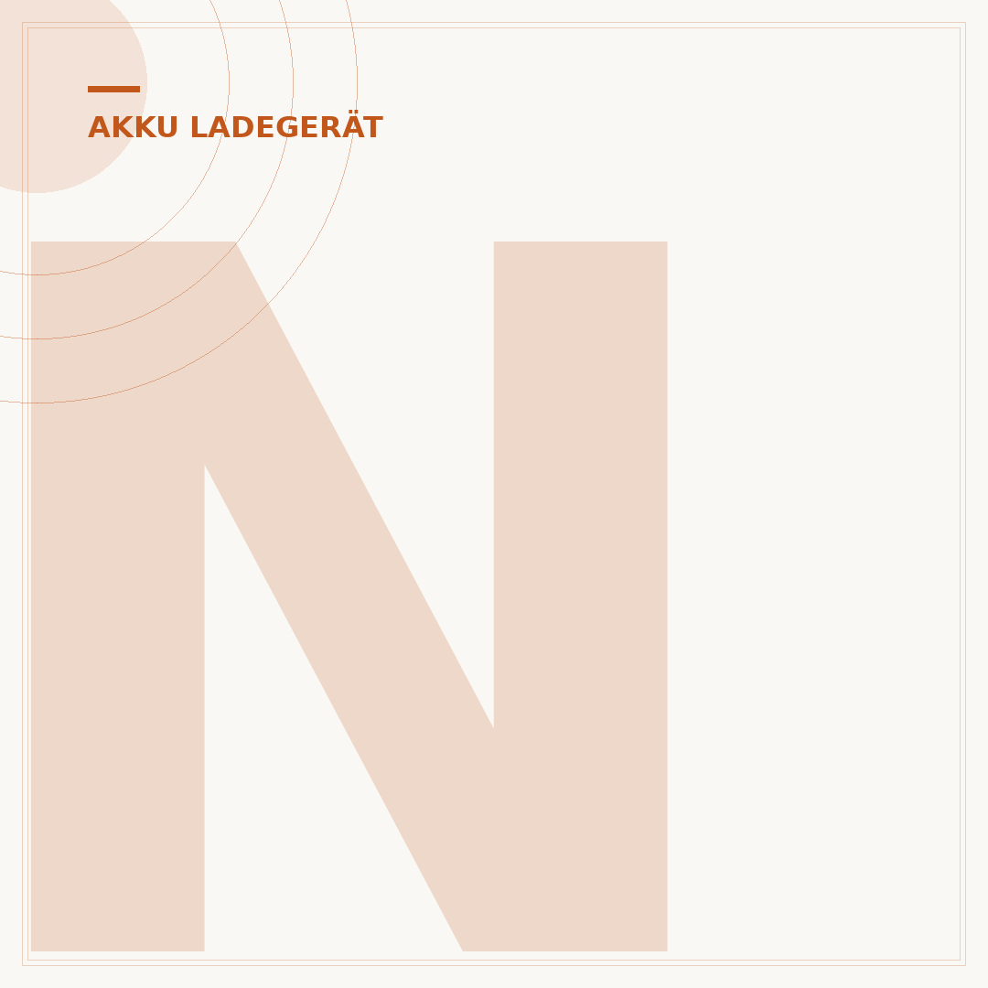 NiMH Akku-Ladegerät