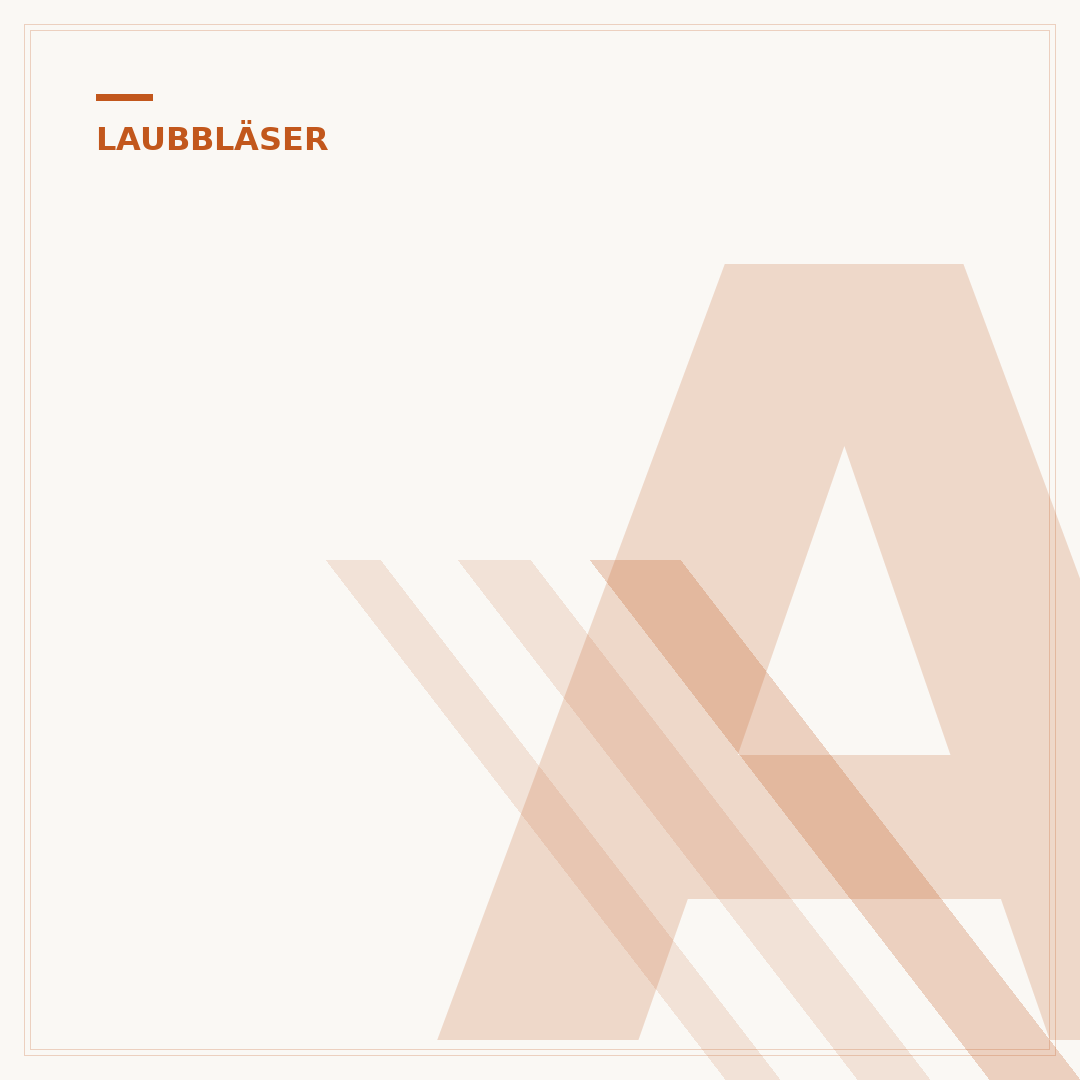 Akku-Laubbläser: Laufzeit, Saug- und Blas-Unterschied