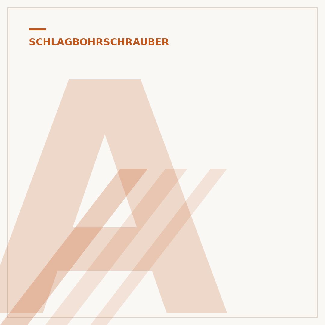 Akku-Schlagbohrschrauber-Set