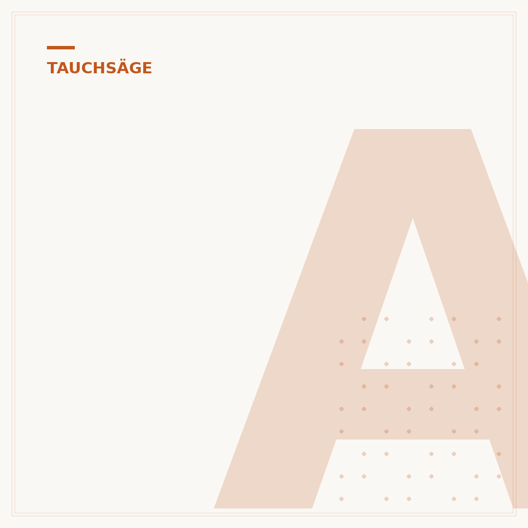 Akku Tauchsäge mit Führungsschiene: Kaufberatung & Tests
