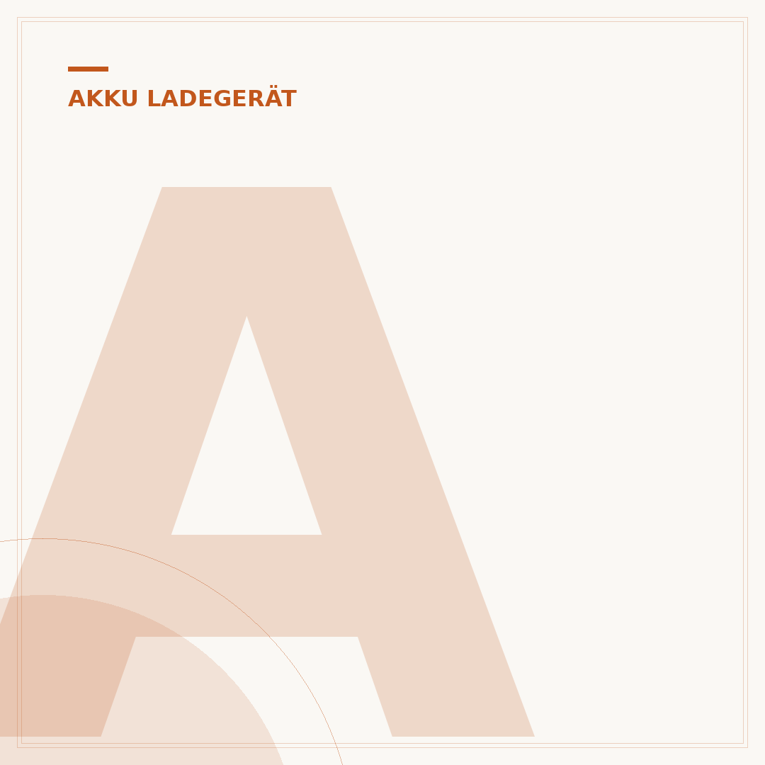 Ansmann Akku-Ladegerät