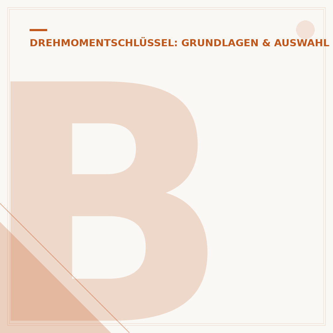 Bahco Drehmomentschlüssel