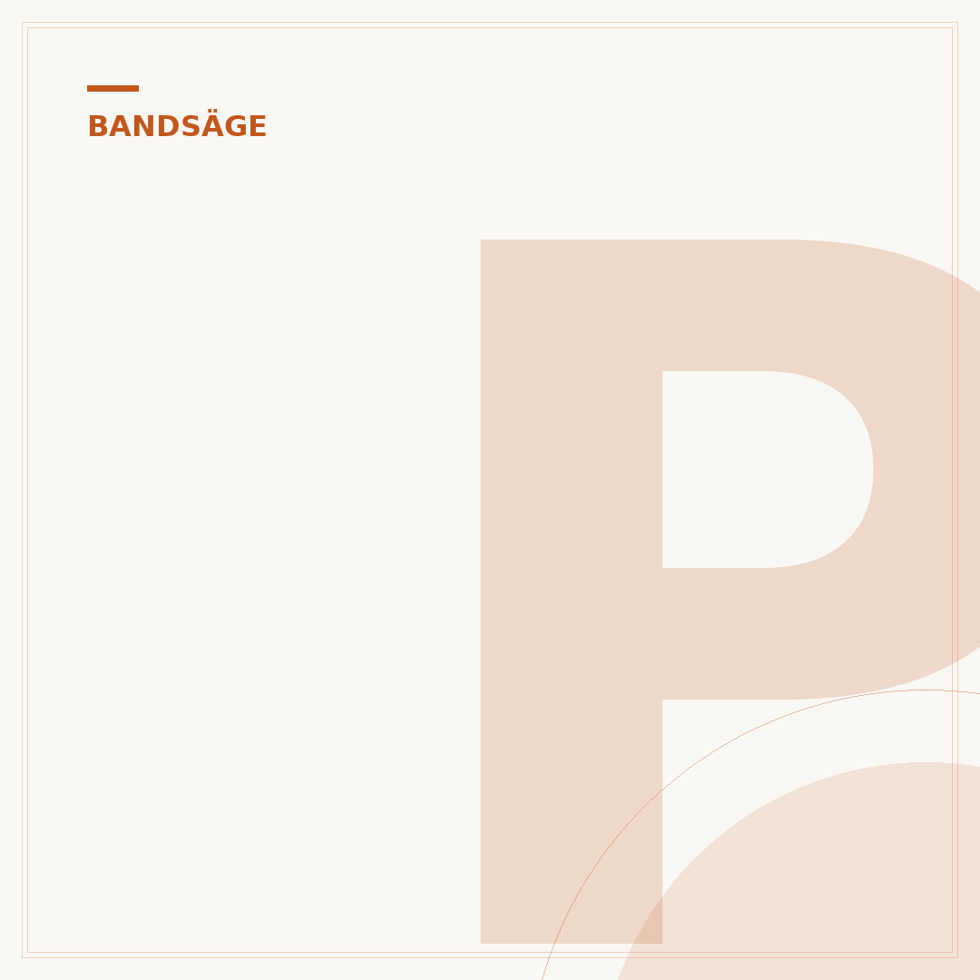 Profi-Bandsäge