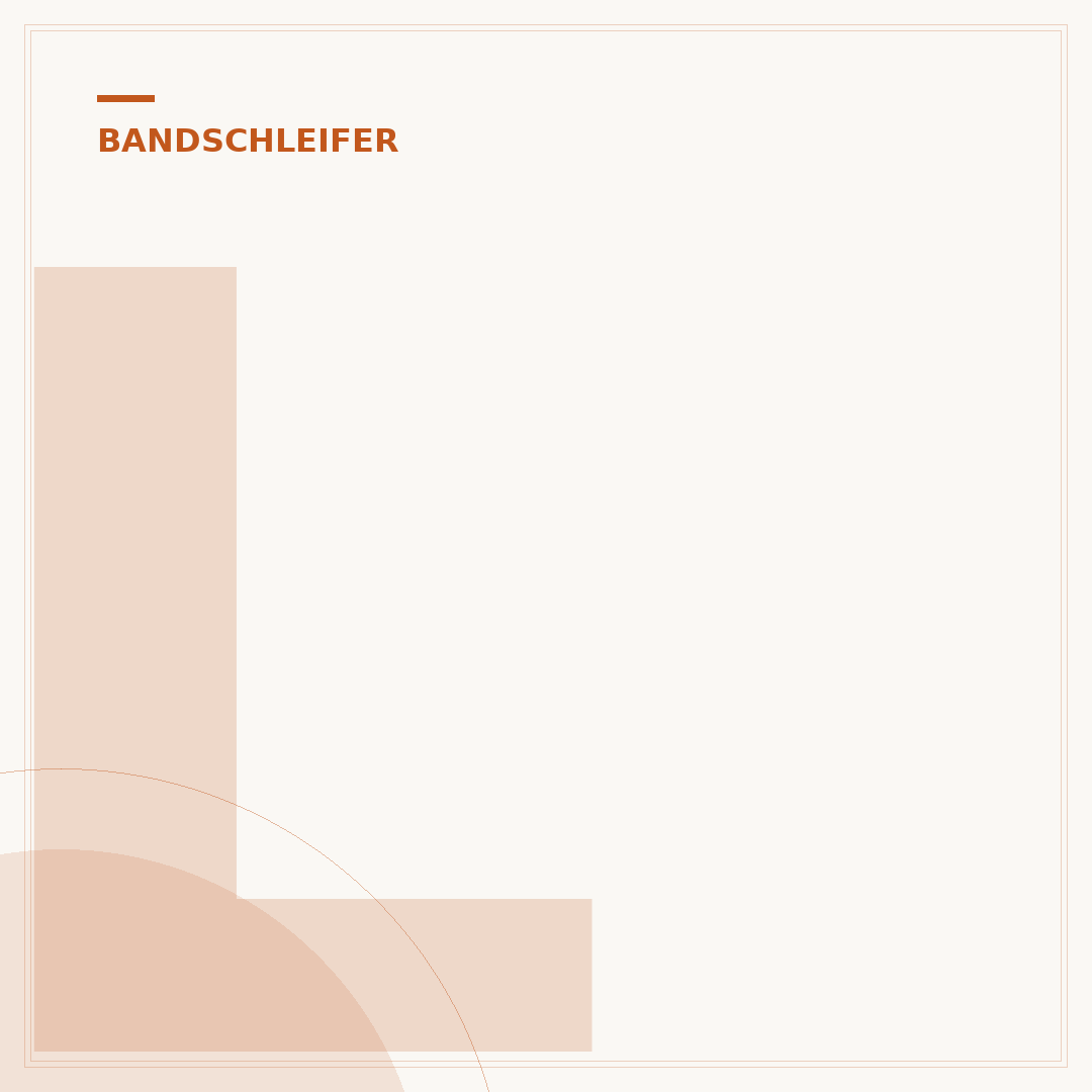 Lager der Antriebsrolle am Bandschleifer wechseln
