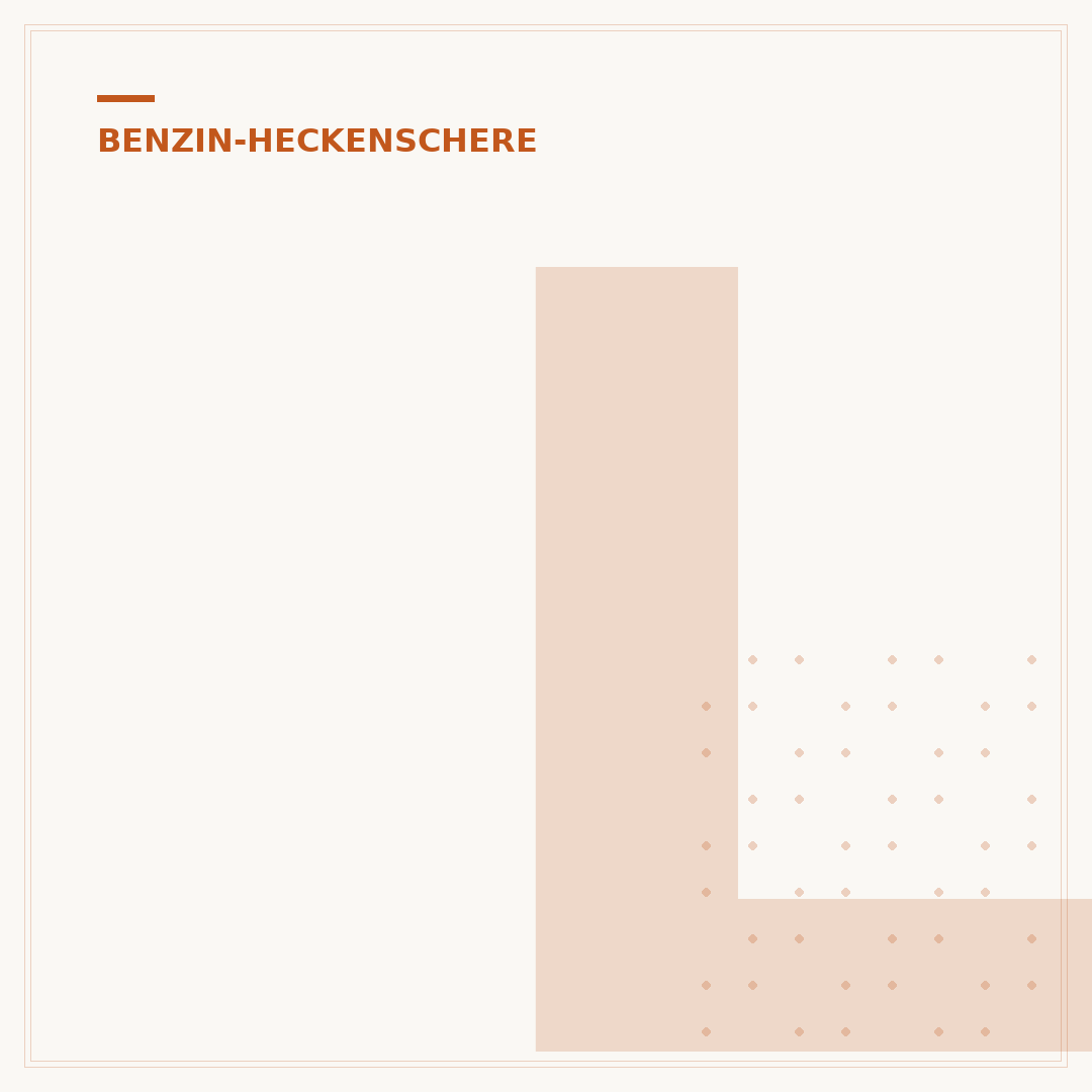 Luftfilter der Benzin-Heckenschere reinigen