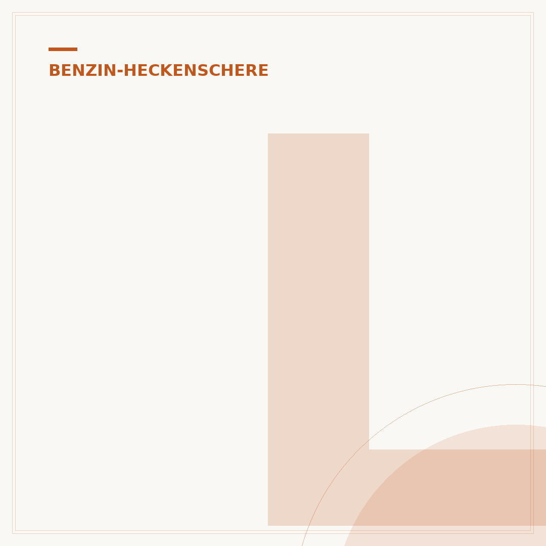 Luftfilter der Benzin-Heckenschere wechseln