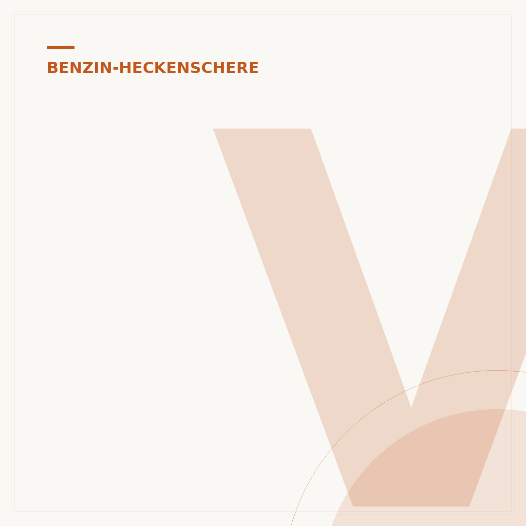 Vergaser der Benzin-Heckenschere verstopft