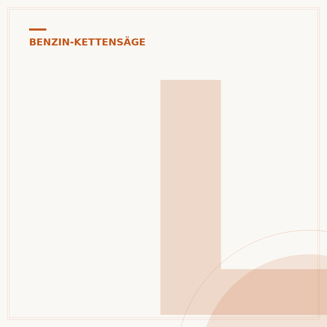 Luftfilter der Benzin-Kettensäge reinigen