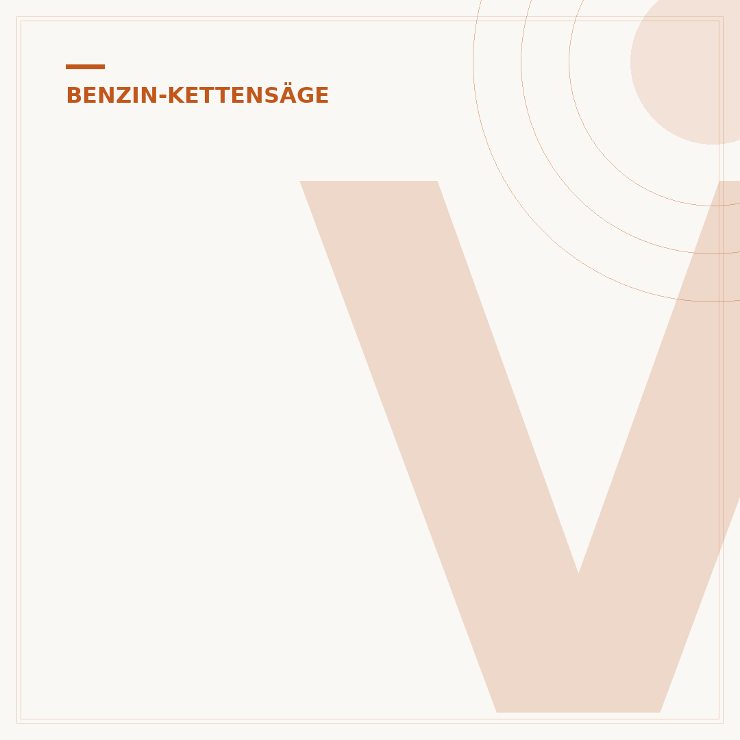 Vergaser der Benzin-Kettensäge reinigen