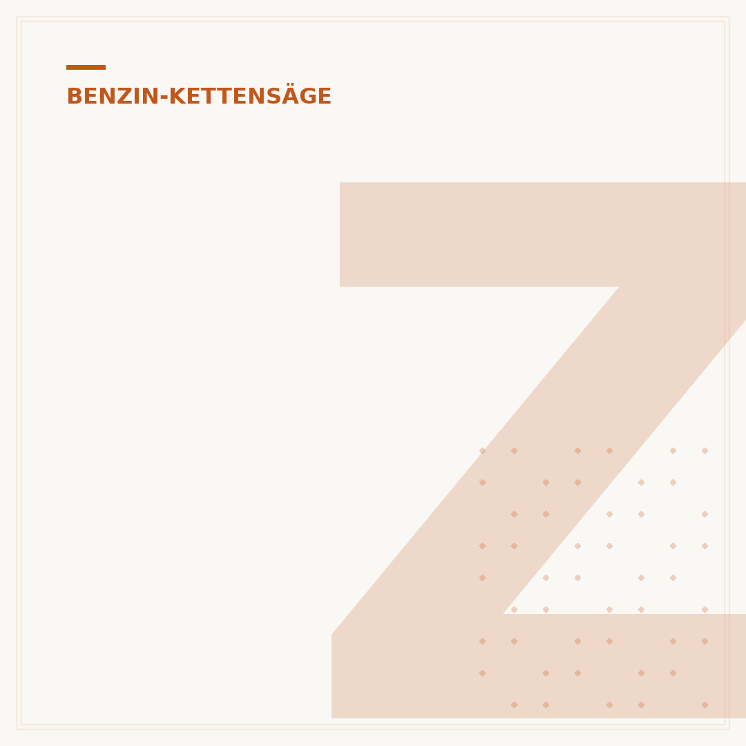 Zündkerze der Benzin-Kettensäge prüfen