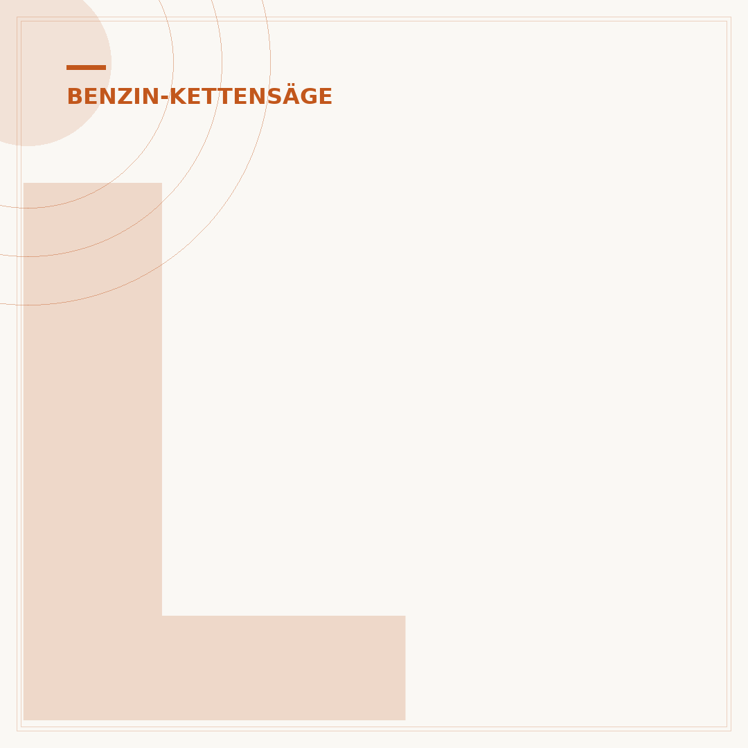 Luftfilter der Benzin-Kettensäge vor dem Winter reinigen