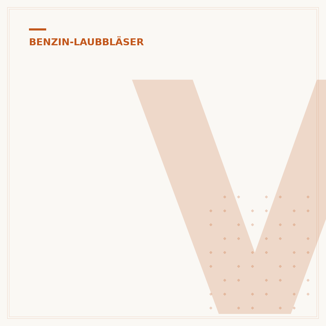Vergaser des Benzin-Laubbläsers reinigen