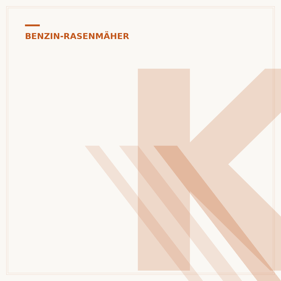 Kleiner Benzin-Rasenmäher