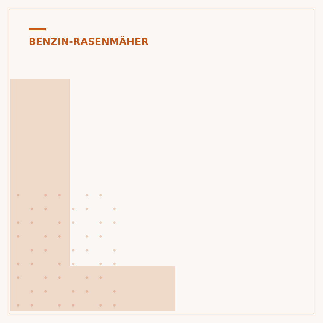 Luftfilter des Benzin-Rasenmähers richtig einbauen