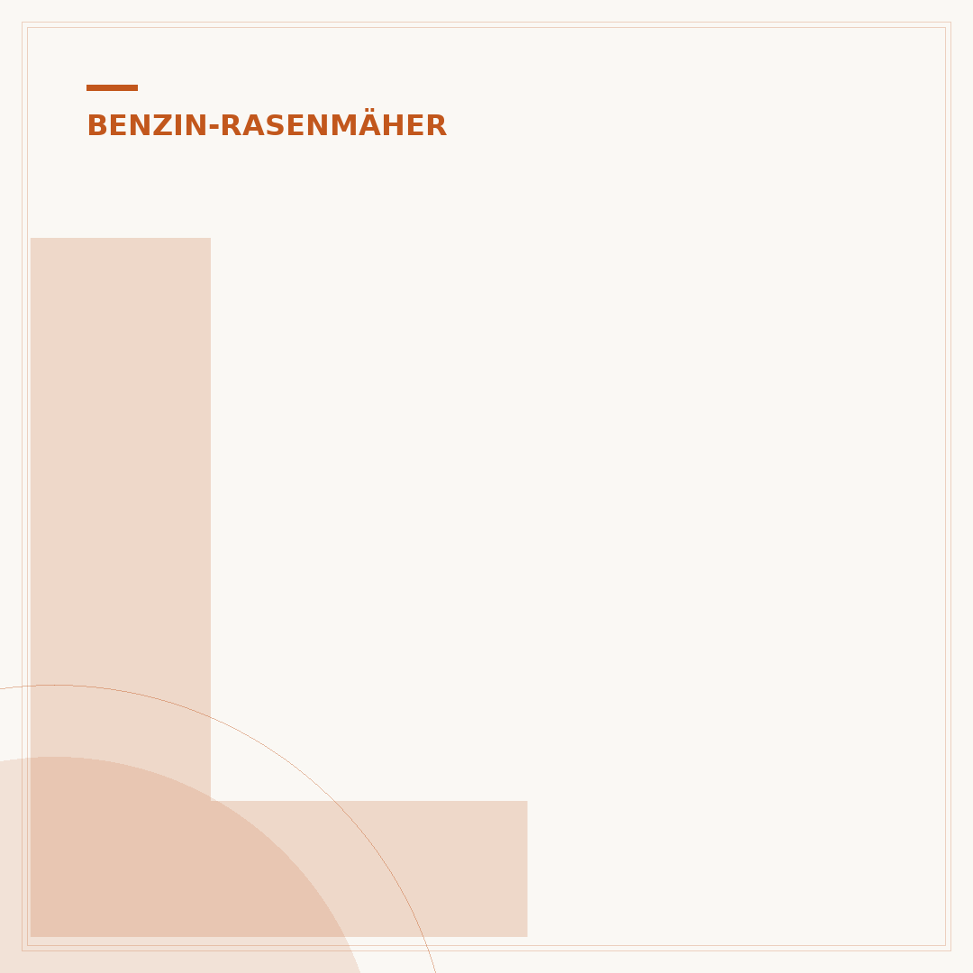 Luftfilter des Benzin-Rasenmähers reinigen
