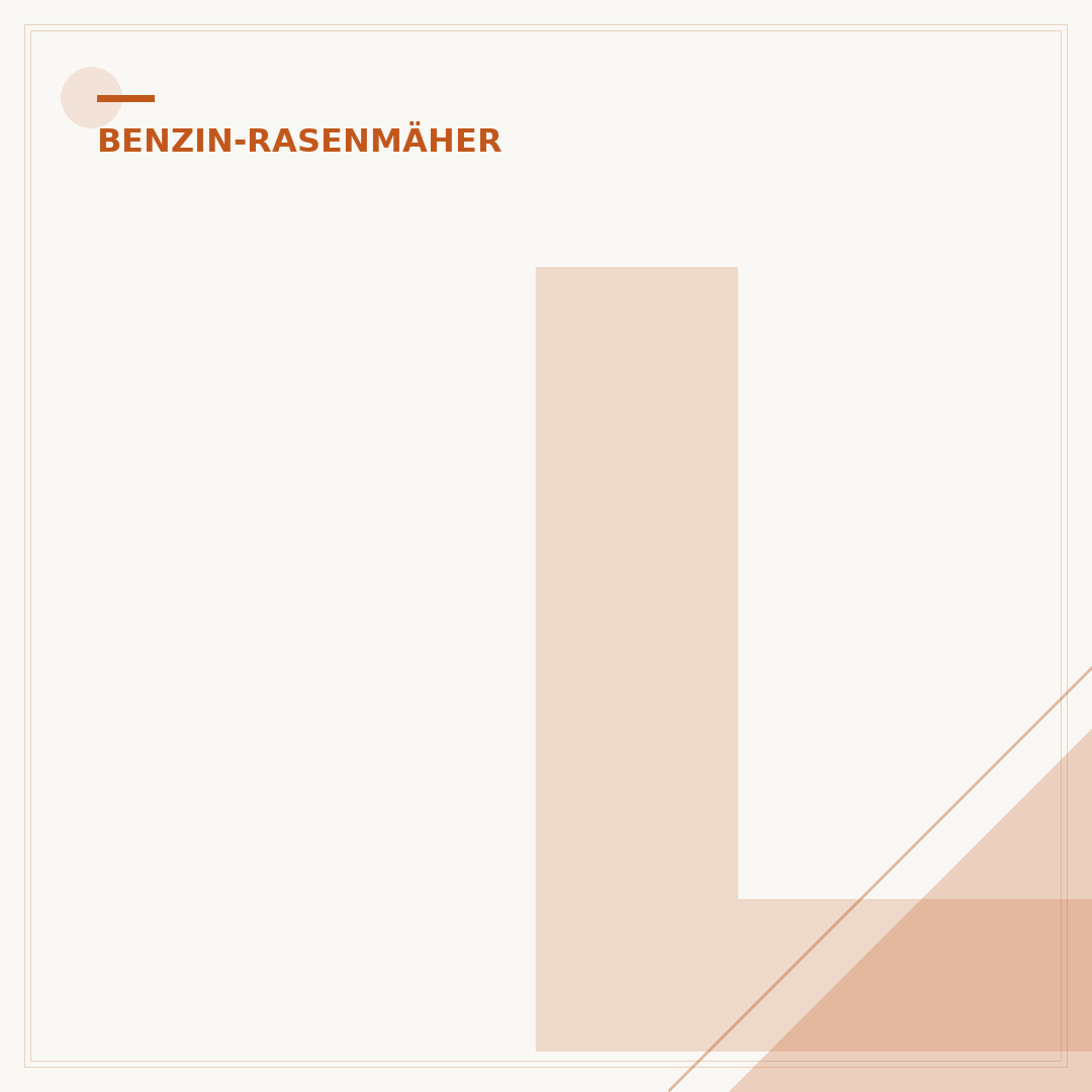 Luftfilter des Benzin-Rasenmähers nass