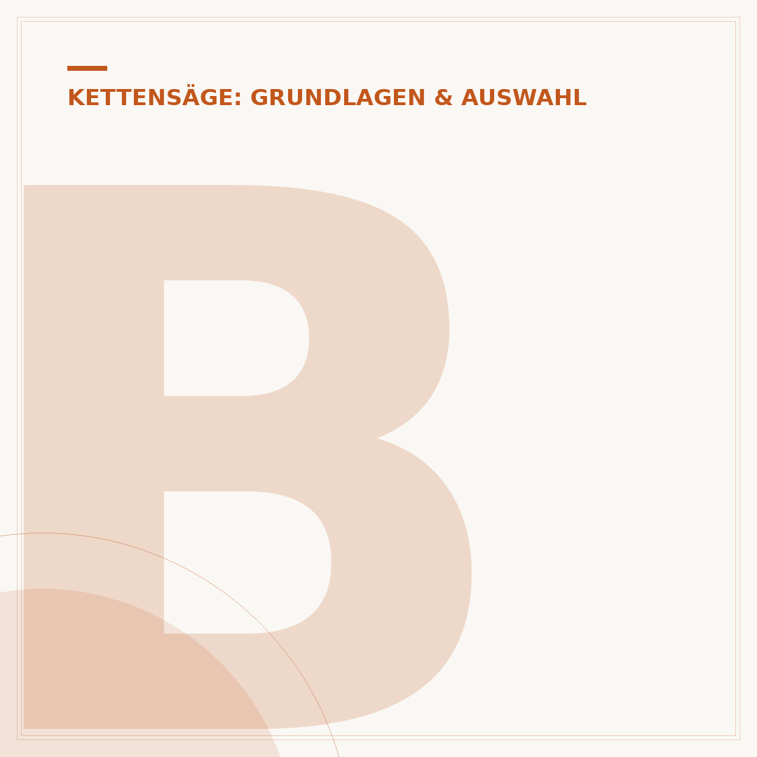Beste Kettensäge der Welt: Auswahlkriterien & Top-Modelle
