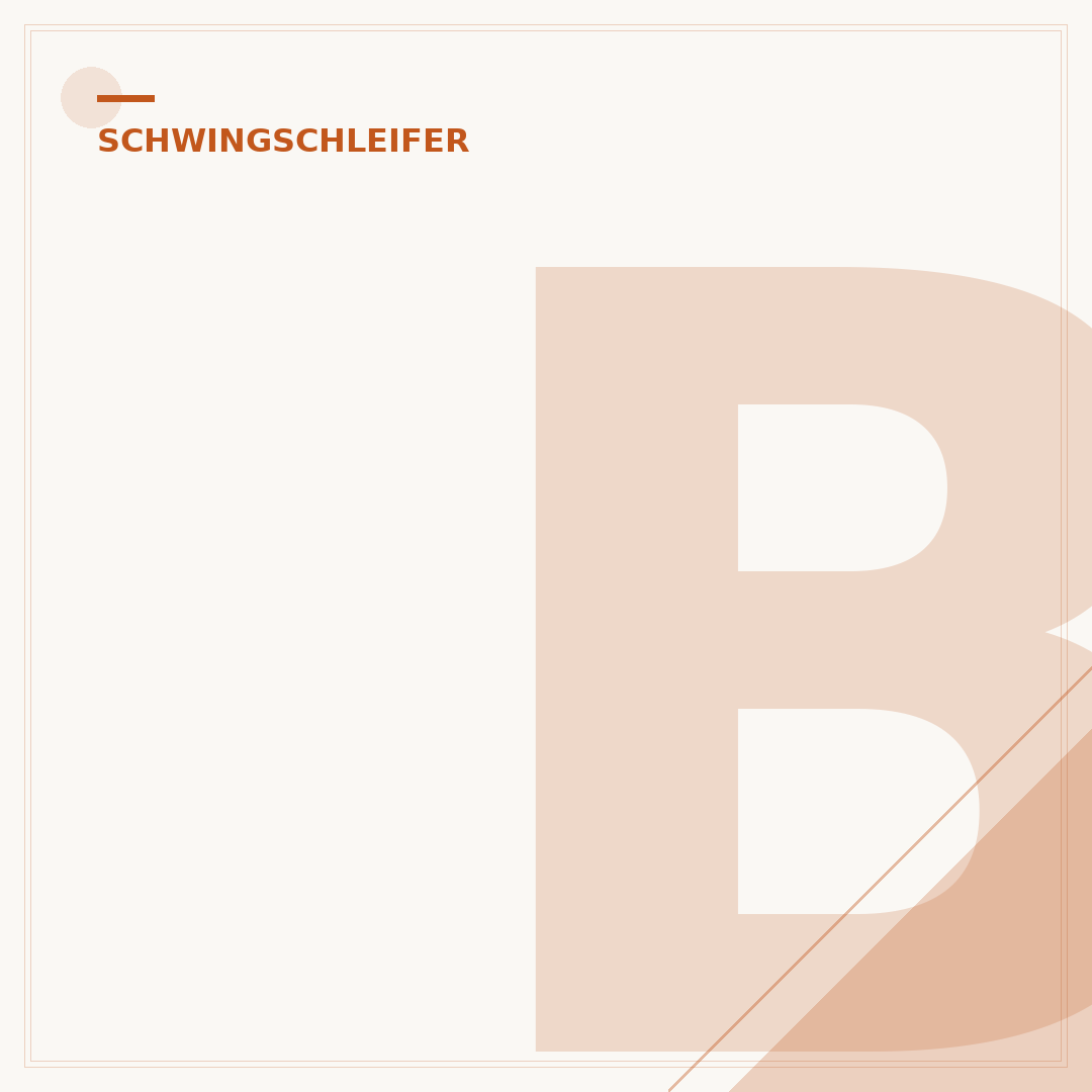 Bosch Blau Schwingschleifer: Leistung für Profis