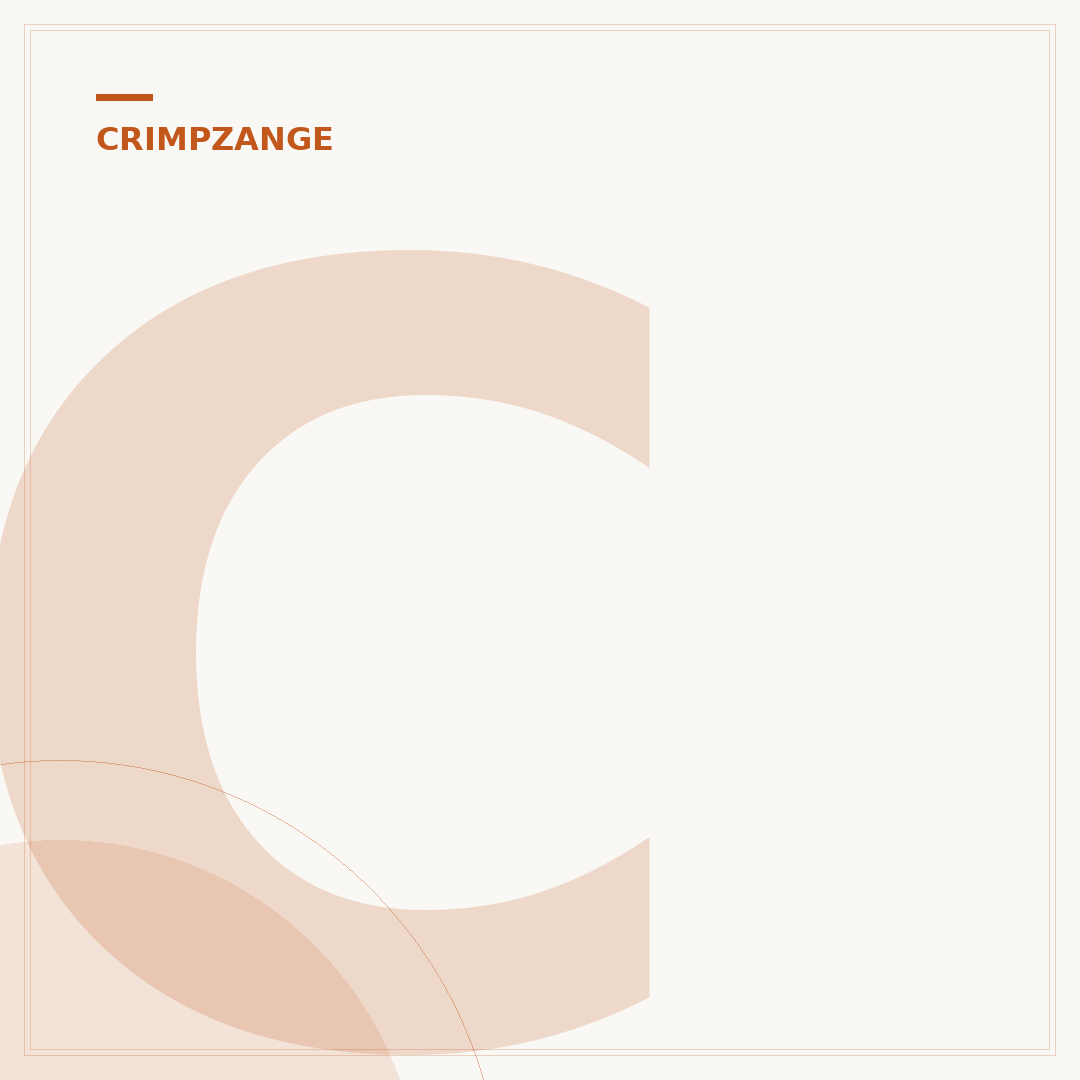 Crimpzange RJ45: Auswahl, Anwendung & Typen erklärt