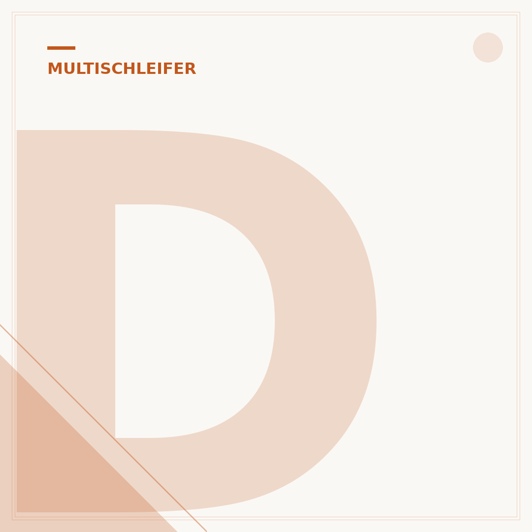 Deltaschleifer: Vergleich, Anwendung und die richtige Wahl
