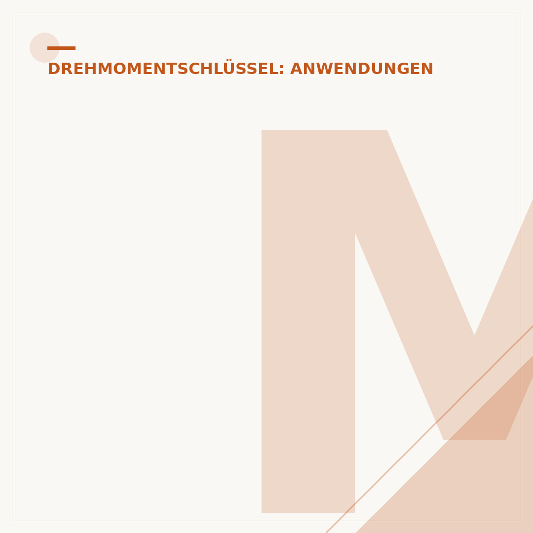 MTB Drehmomentschlüssel: Auswahl & Anwendung für Ihr Bike