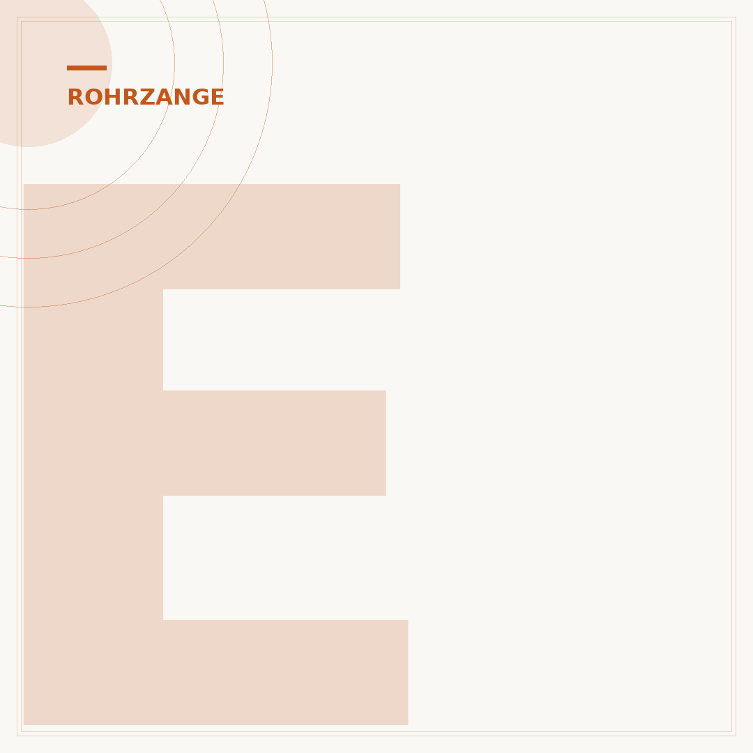 Einhand-Rohrzange: Funktion, Vorteile und Auswahl