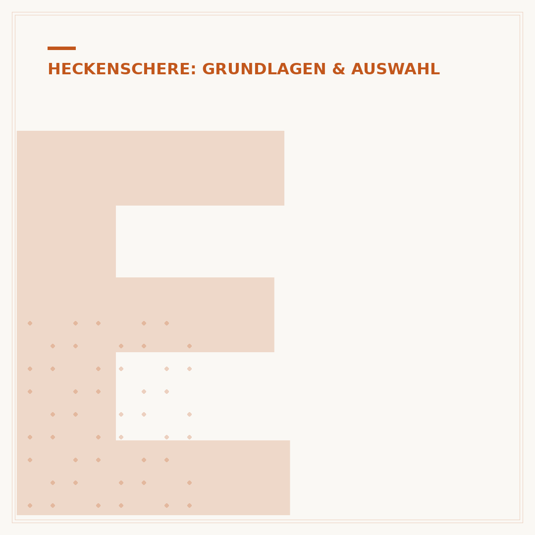 Einhell Professional Heckenschere