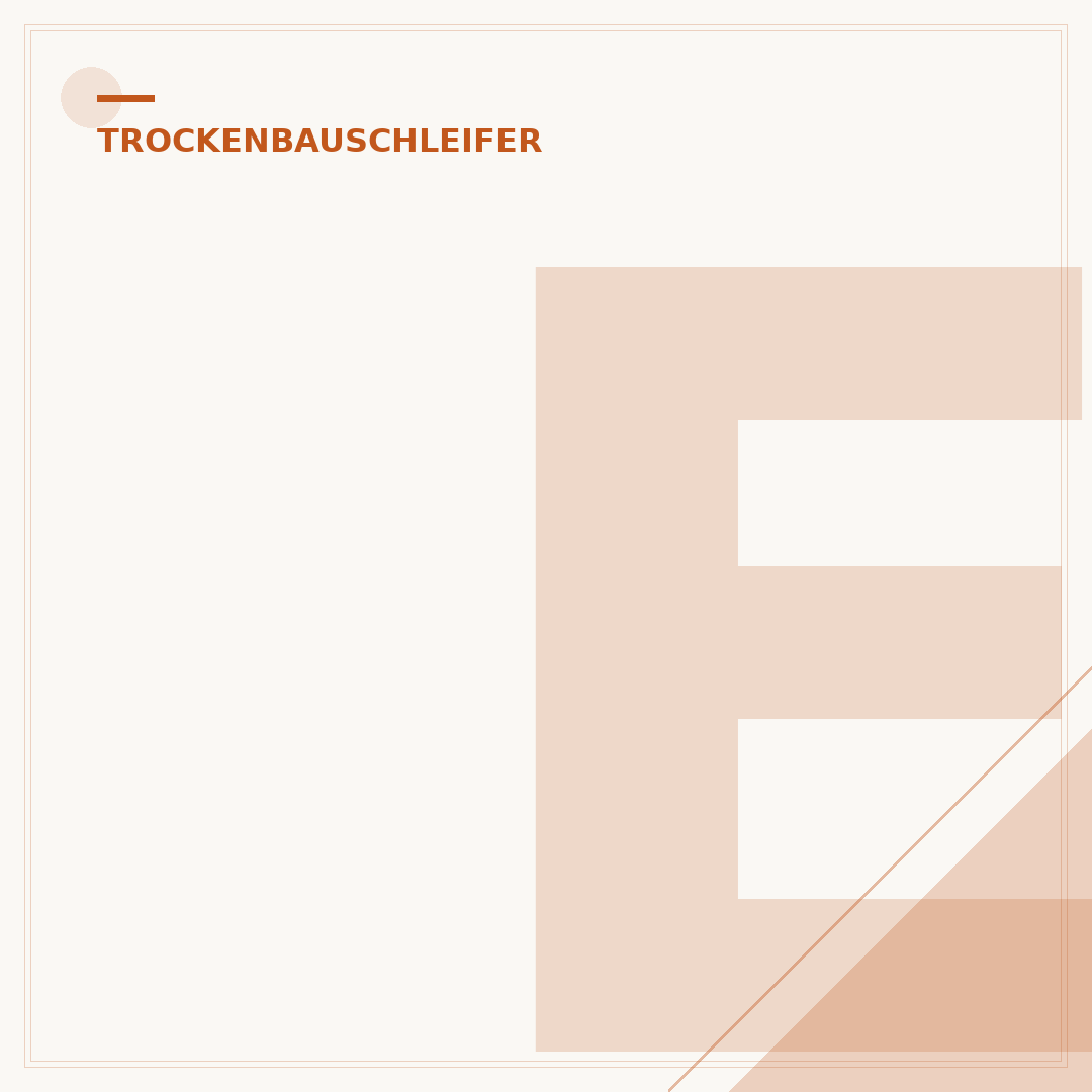 Einhell Trockenbauschleifer TE-DW 225 X