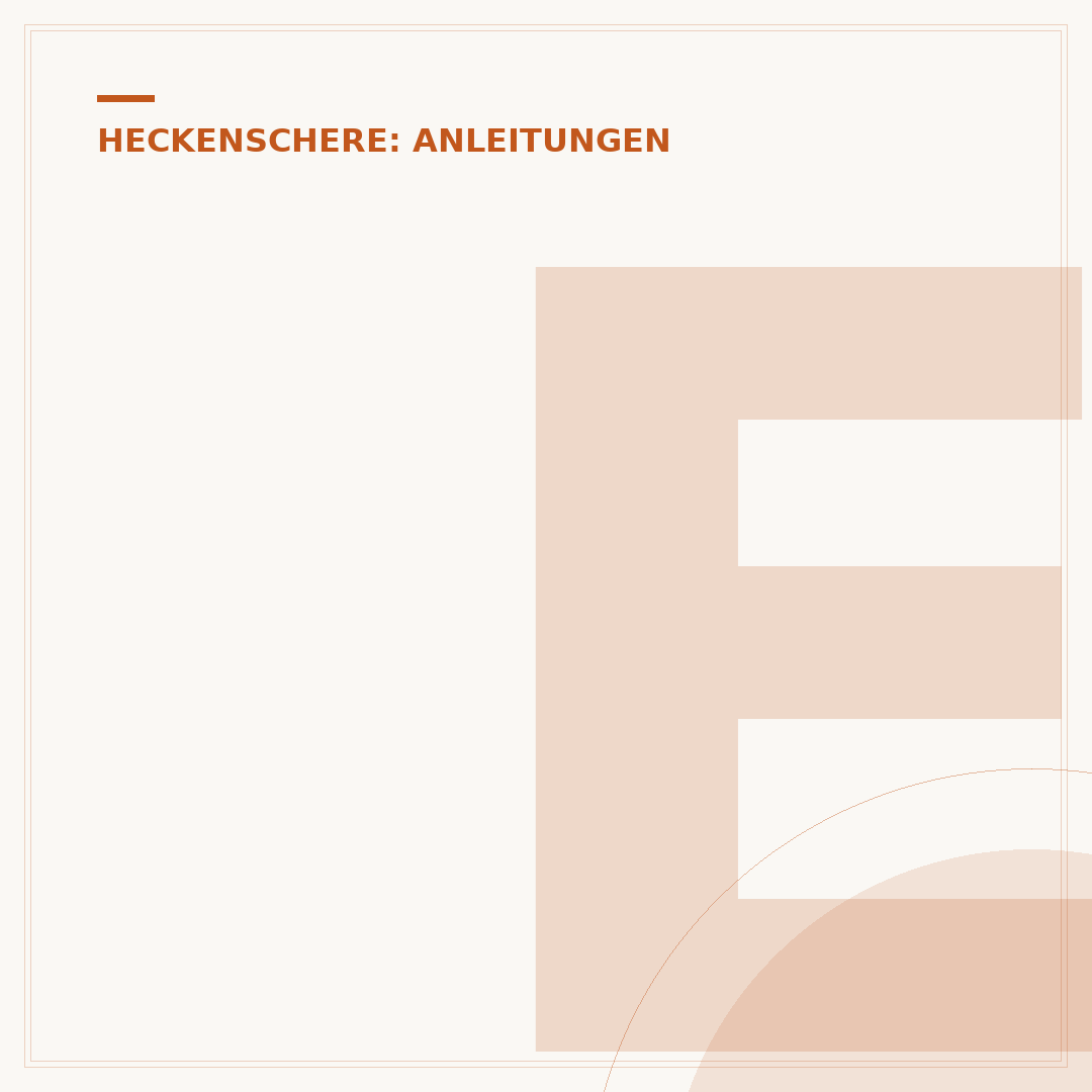 Elektrische Heckenschere schärfen: Fehler vermeiden