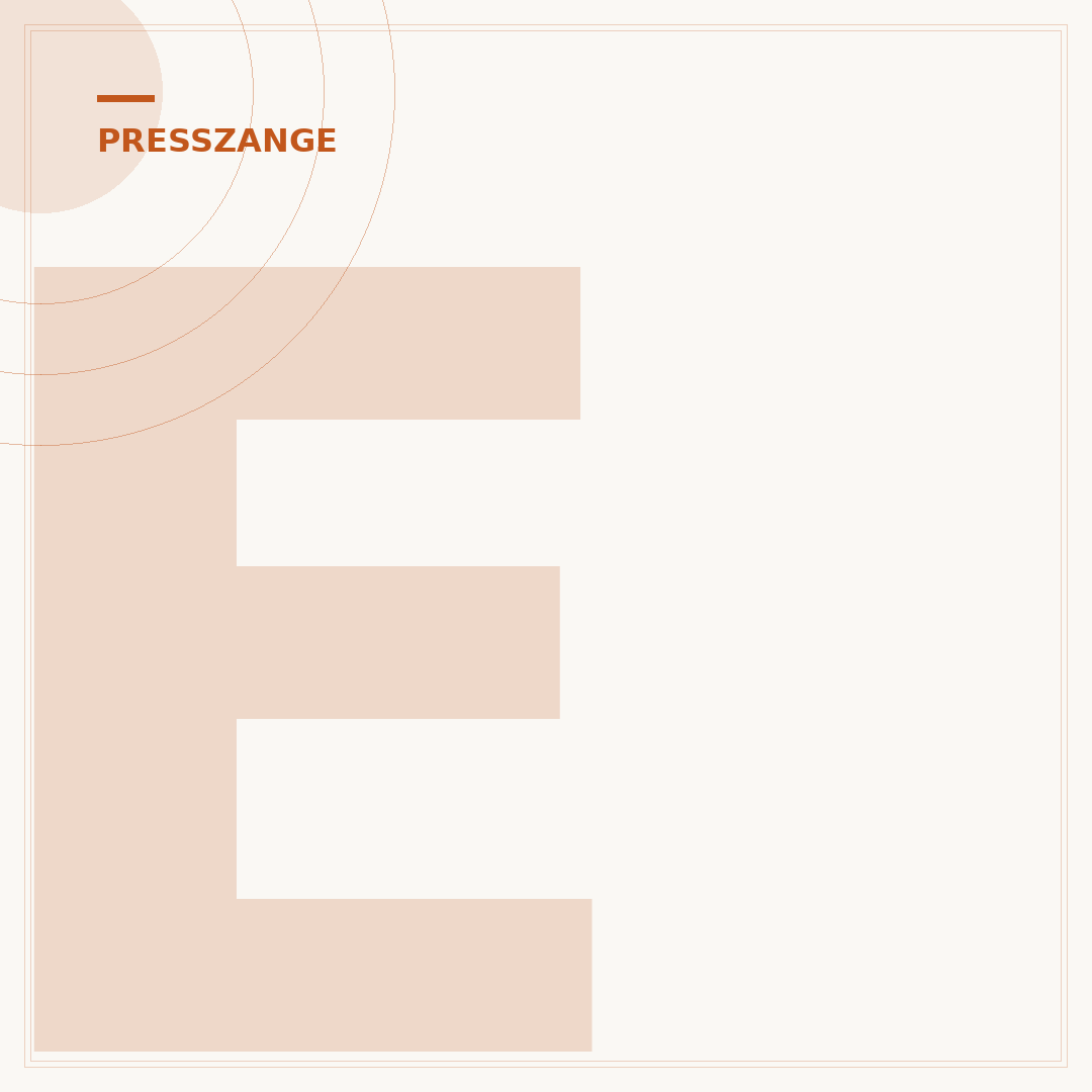 Elektro-Presszange