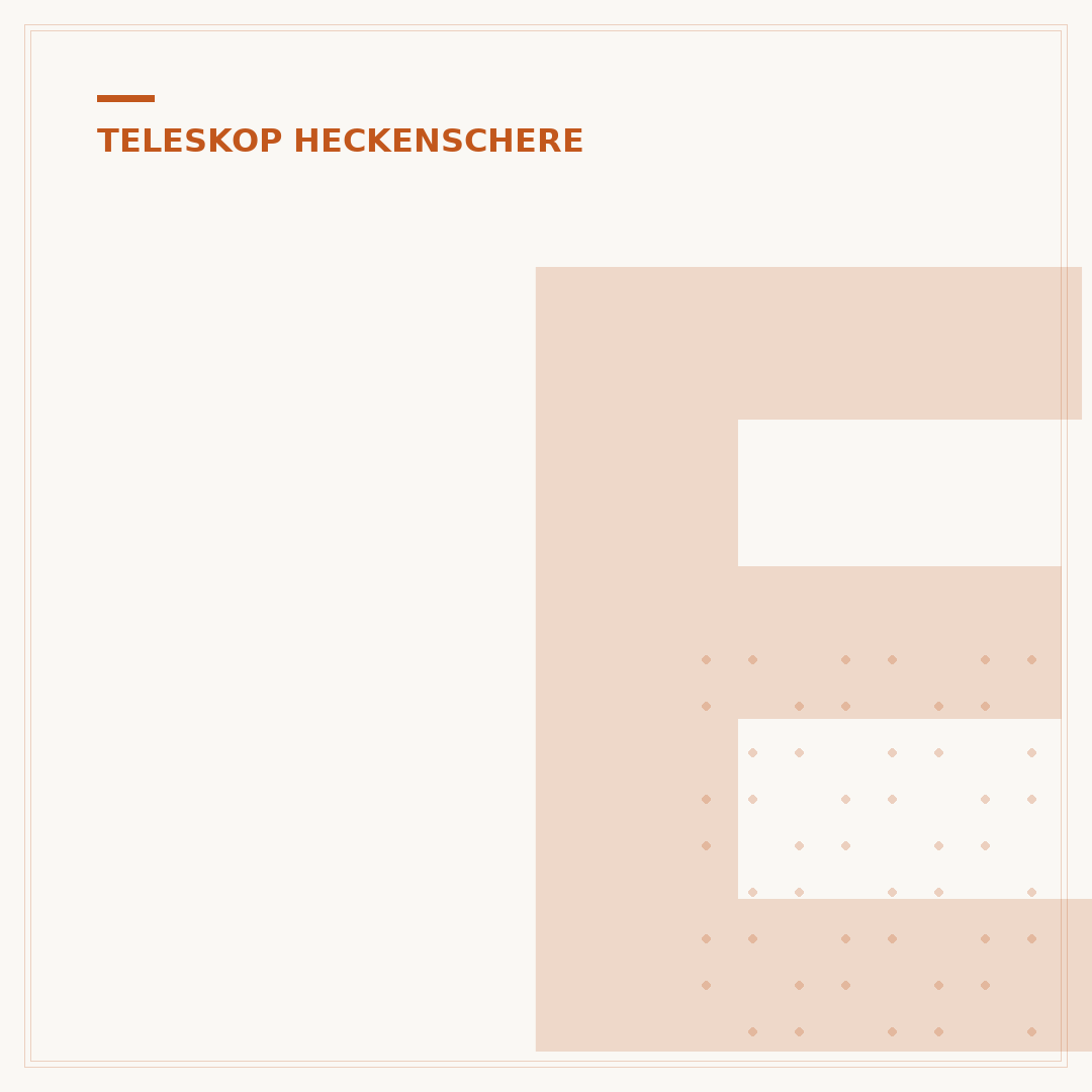 Elektro-Teleskop-Heckenschere