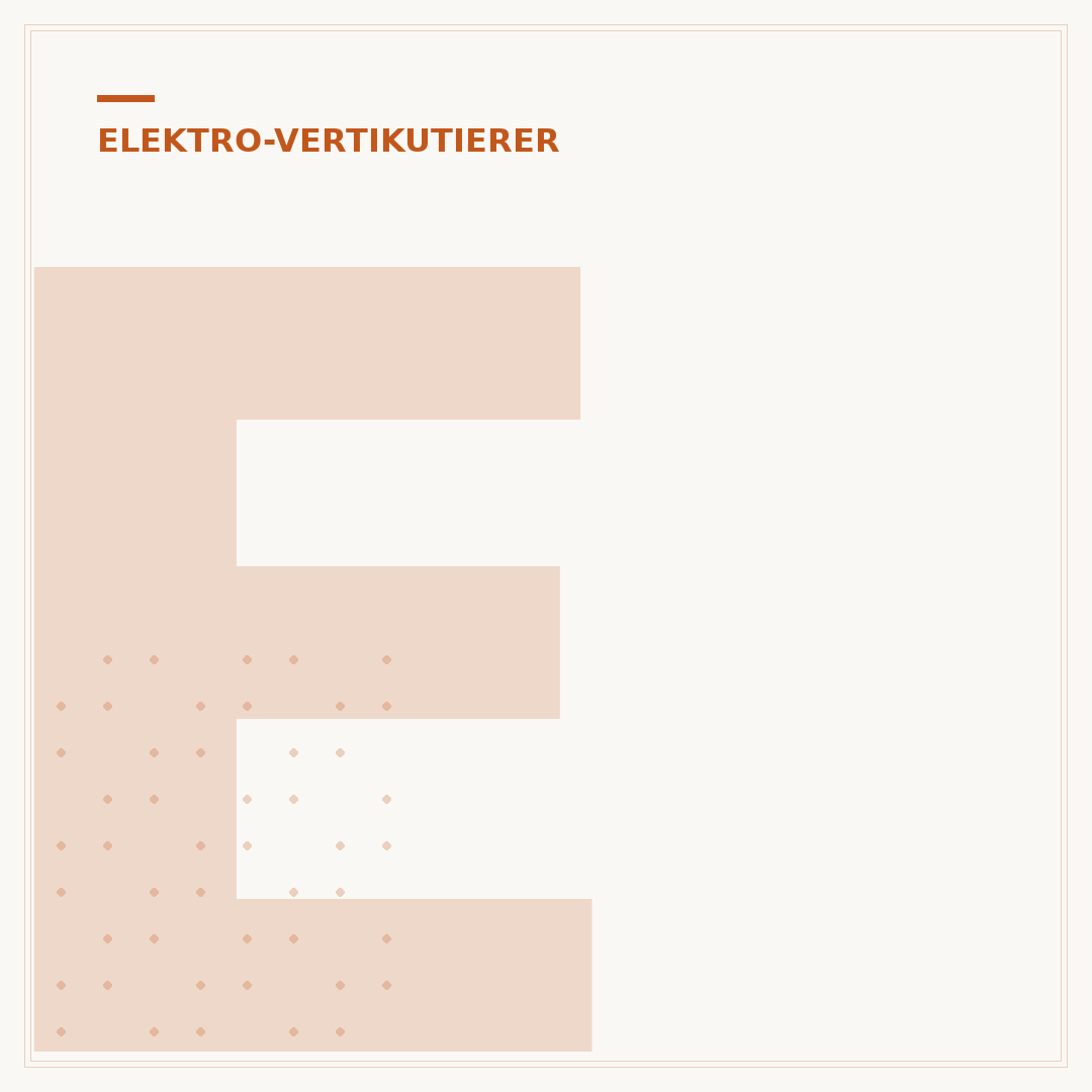 Elektro-Vertikutierer