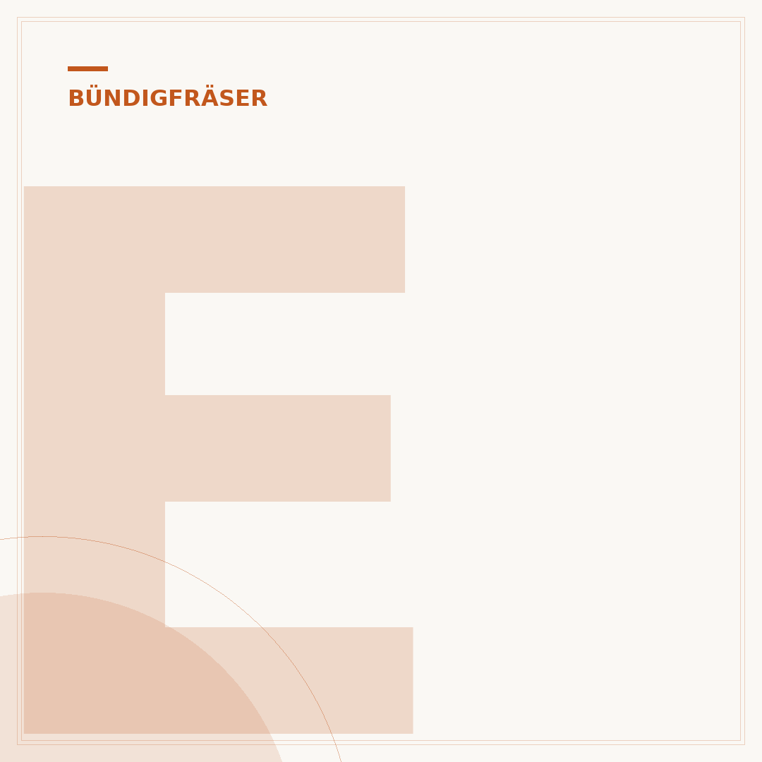 Ent Bündigfräser