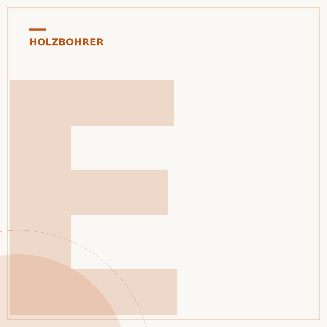 ENT Holzbohrer Set: Auswahl, Anwendung & Pflege