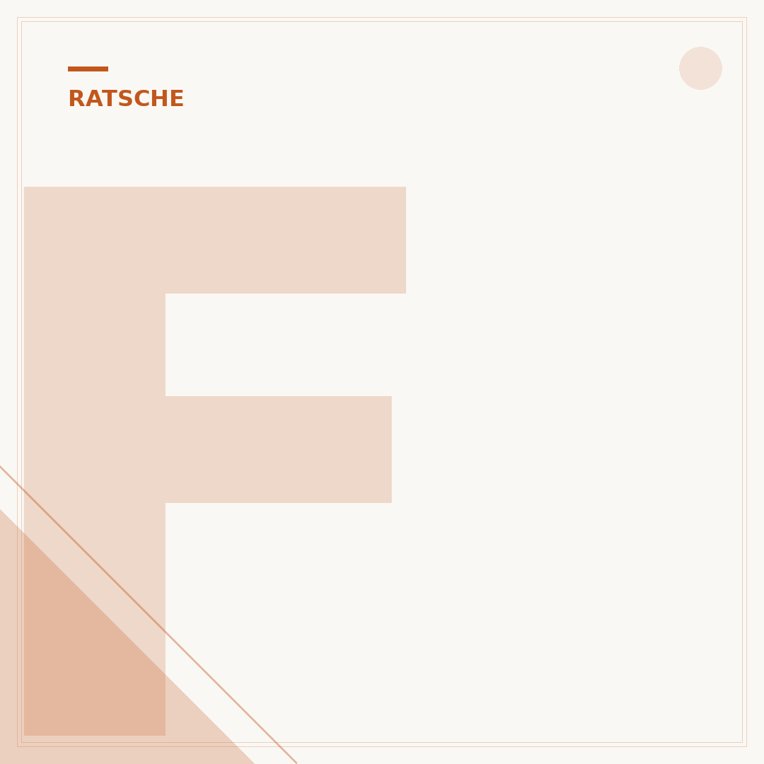 Facom Ratsche