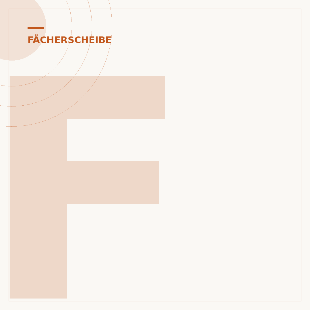 Fächerscheibe für Metall