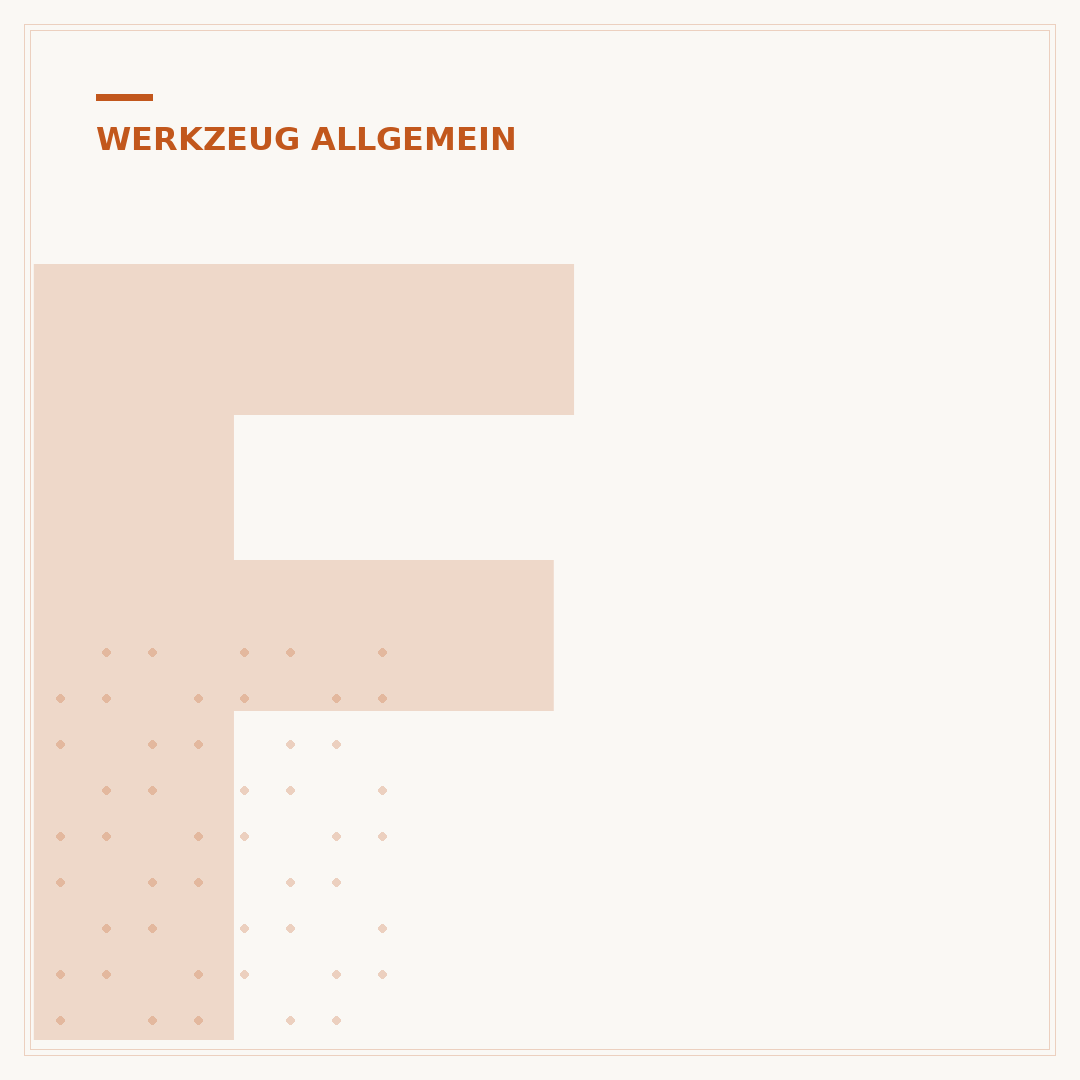 Feinmechaniker-Werkzeug-Set für Profis