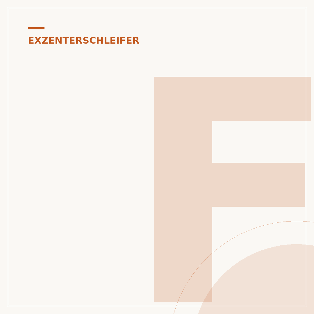 Ferrex Exzenterschleifer