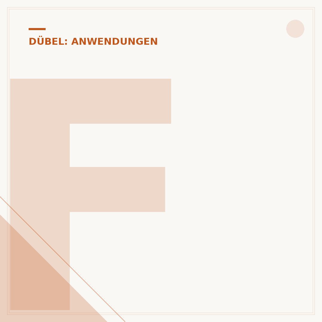 Fischer Dübel für Poroton-Ziegel