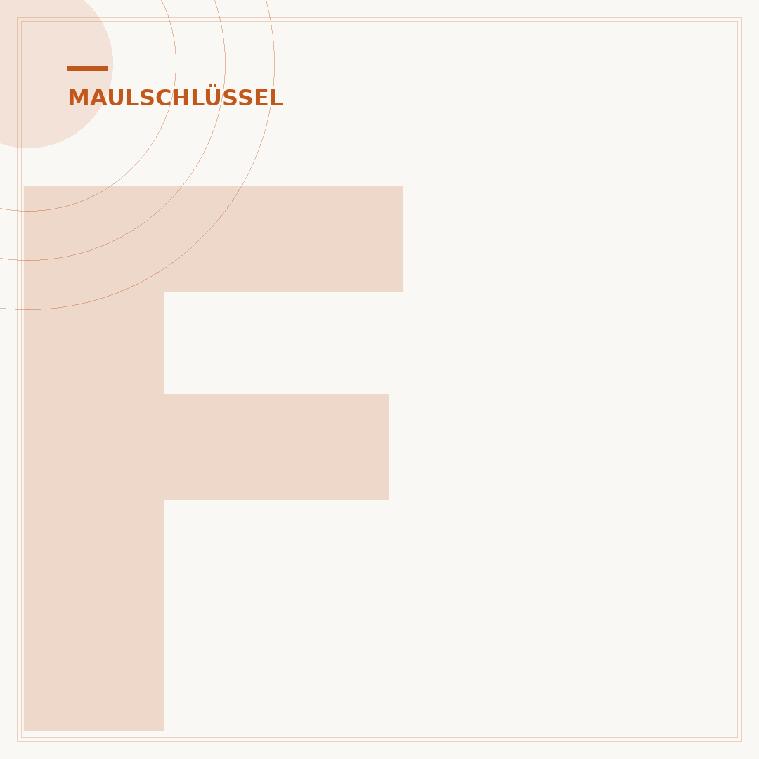 Flache Maulschlüssel: Präzision für enge Räume