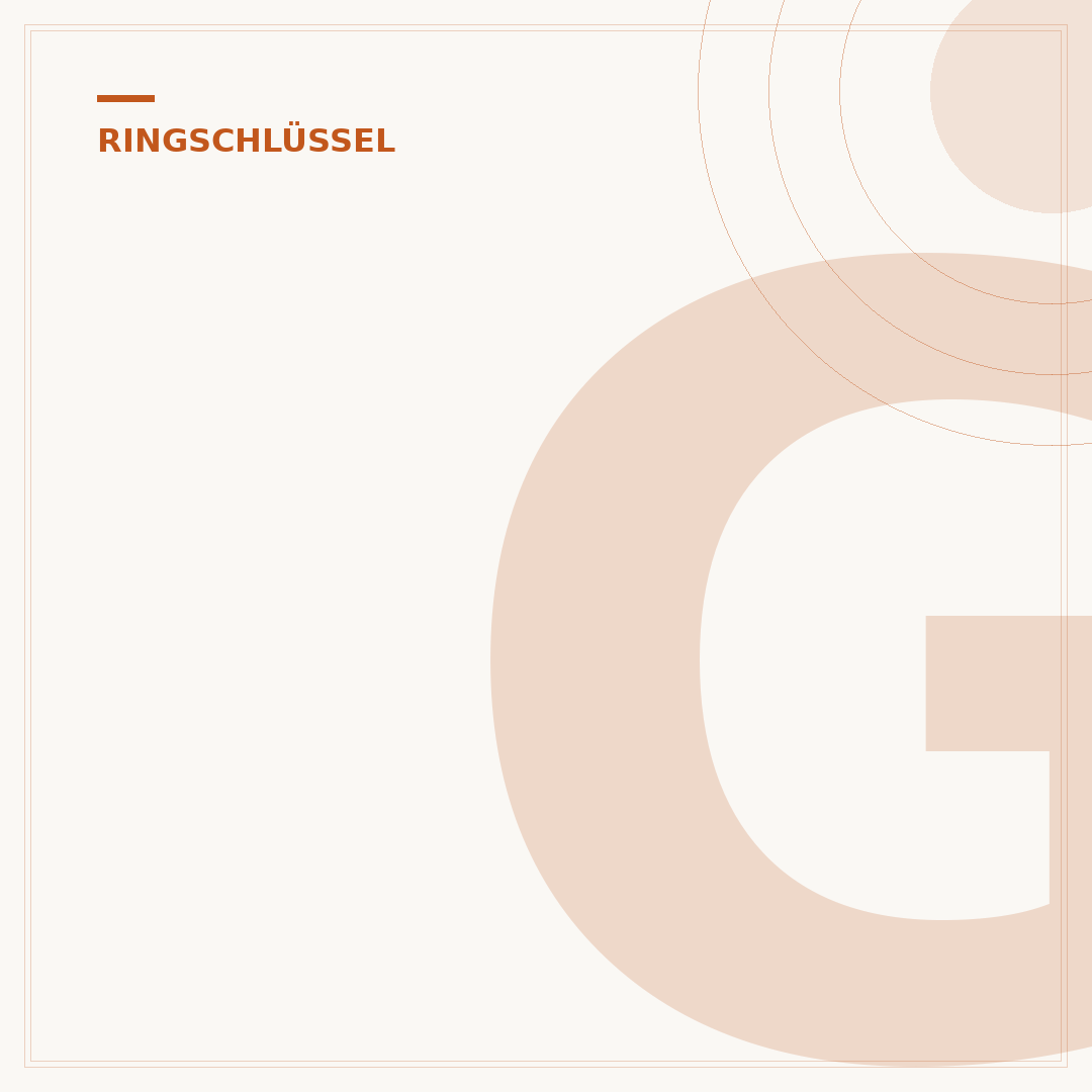 Gabel Ringschlüssel: Präzision und Anwendung im Detail