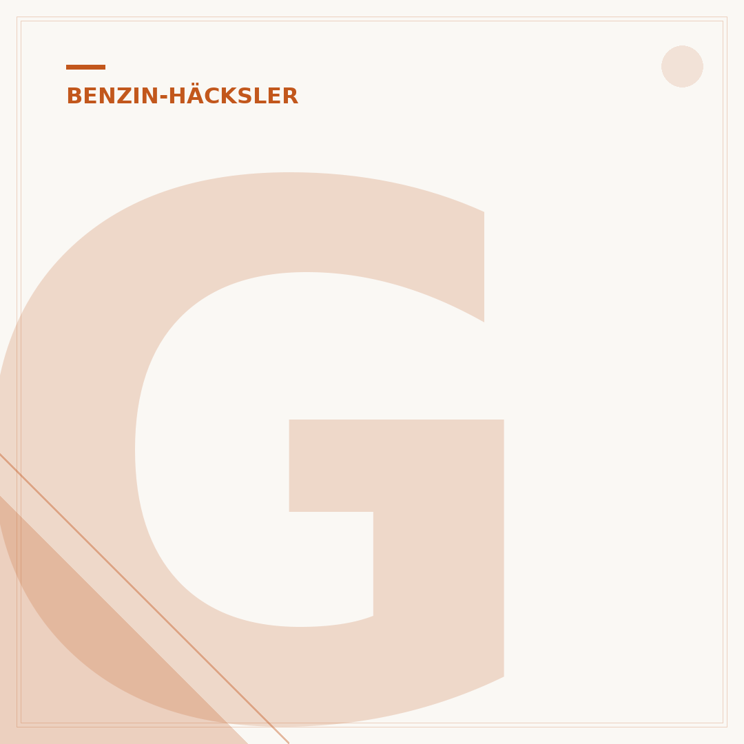 Gebrauchte Benzin-Häcksler